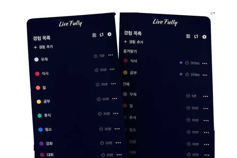 Experience list